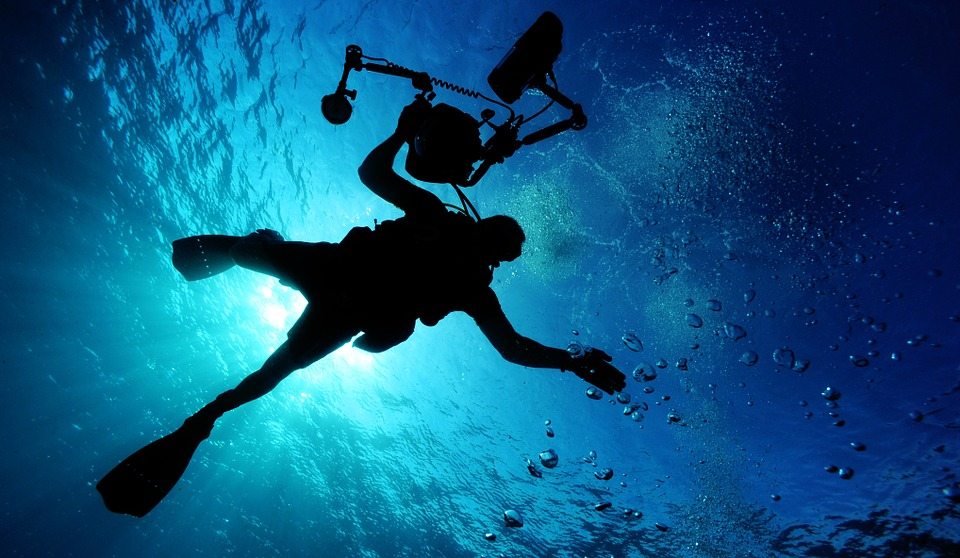 7 Specialty Courses to Level Up Your Diving Skills