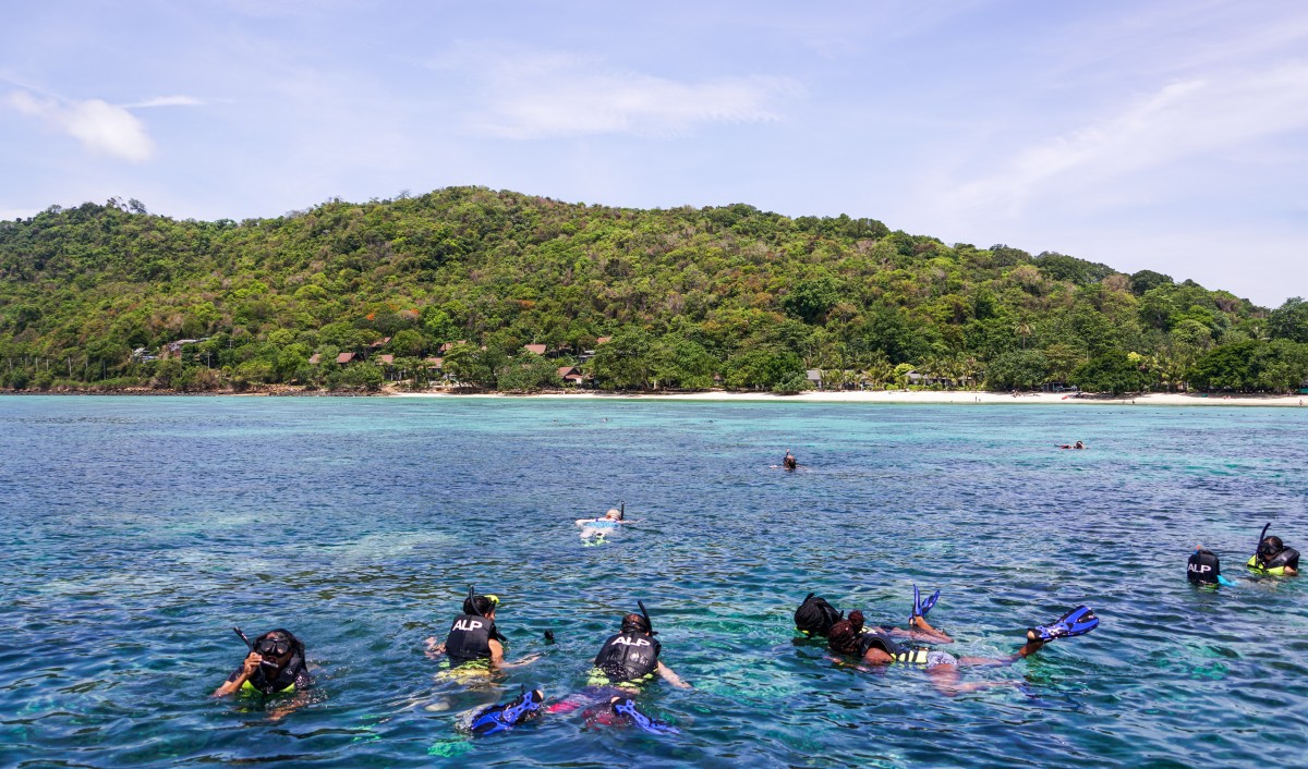 7 Sea Creatures to spot in Phuket